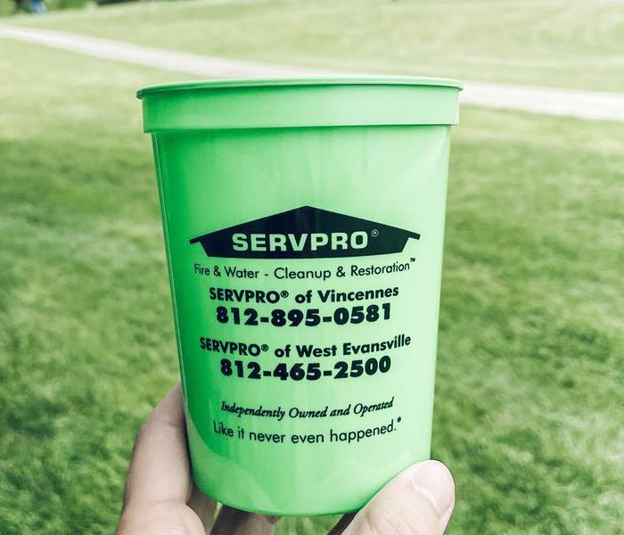 cup with SERVPRO of Vincennes 